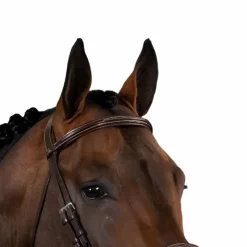 Online - Frontal droit US Collection Accessoires De Bridons Poneys|Frontaux