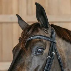 Outlet - Frontal en V Tressé New English Collection Accessoires De Bridons Poneys|Frontaux