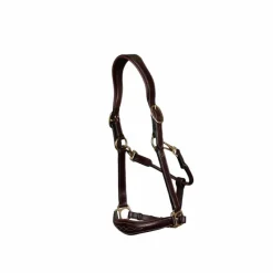 - Licol cuir D Collection brun Licols Poneys