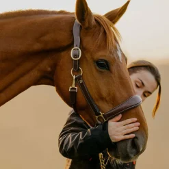 - Licol cuir D Collection brun Licols Poneys