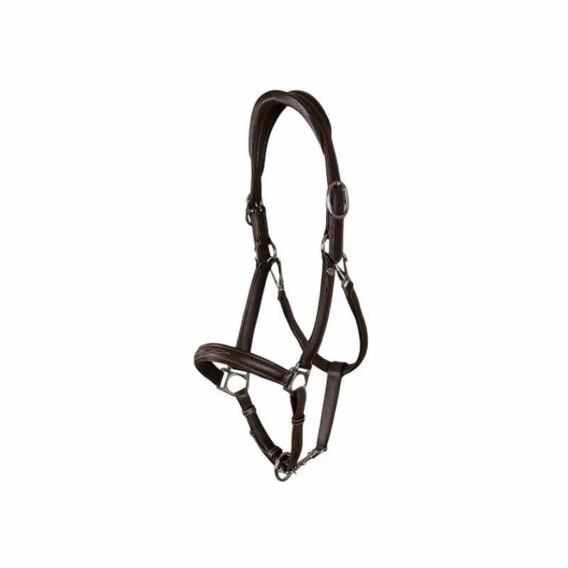 Licols Poneys*Dyon - Licol cuir extra souple Working by brun Marron