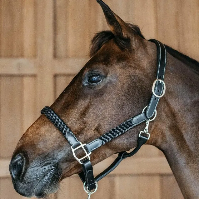 Online - Licol Tressé Working By Dy'on Colliers De Chasse Poneys|Colliers De Chasse