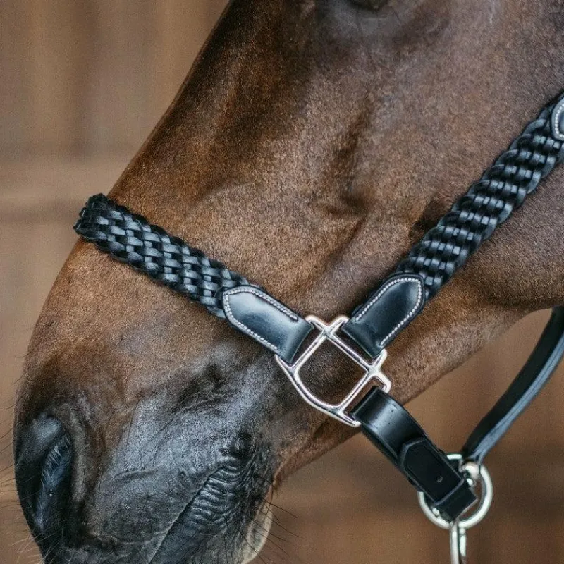 Online - Licol Tressé Working By Dy'on Colliers De Chasse Poneys|Colliers De Chasse