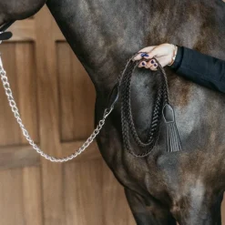 Longes Classiques*Dyon - Longe de présentation Tressée Working By Dy'on Marron