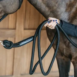 - Longe d'entraînement Working By Longes De Travail