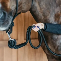 New - Longe mousqueton amovible Working By Longes Classiques