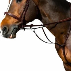 Enrênements Poneys|Martingales*Dyon - Martingale à anneaux New English Collection brun Marron