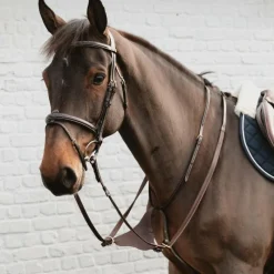 Enrênements Poneys|Martingales*Dyon - Martingale pleine en cuir souple Collection Marron