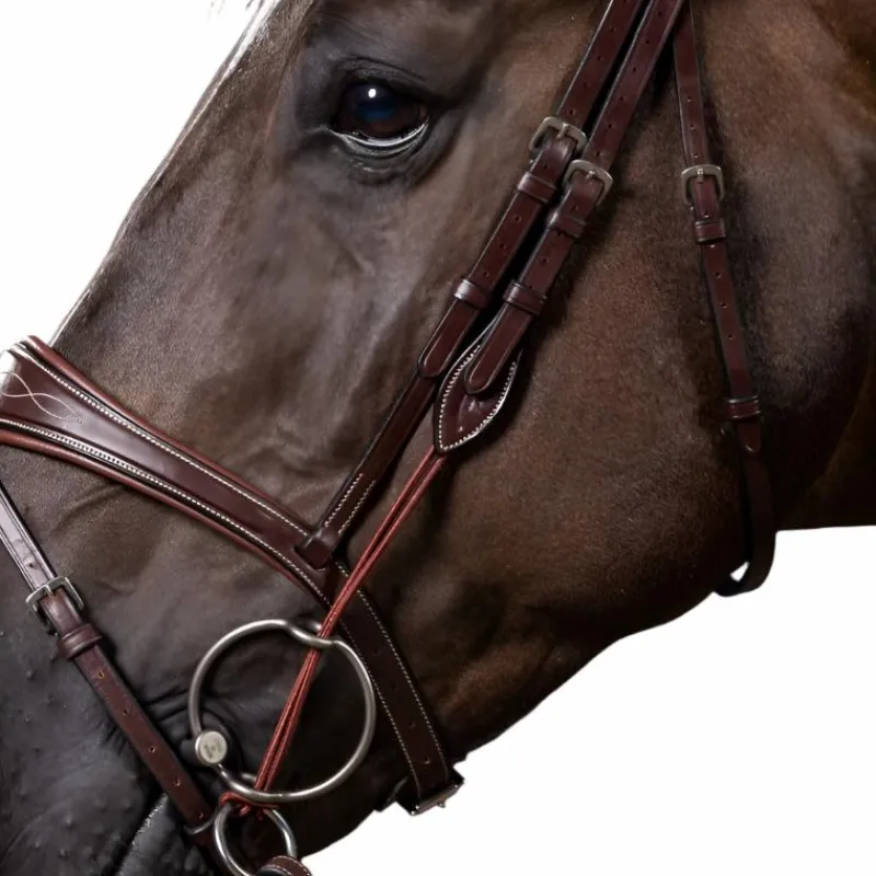 Accessoires De Bridons Poneys|Montants De Bridons*Dyon - Montants de releveur US Collection Marron