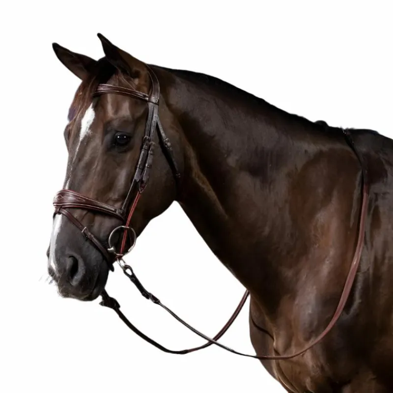 Accessoires De Bridons Poneys|Montants De Bridons*Dyon - Montants de releveur US Collection Marron