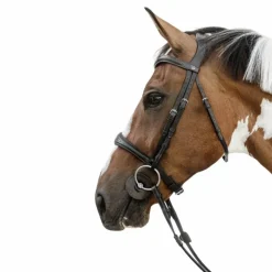 Accessoires De Bridons Poneys|Accessoires De Bridon*Dyon - Muserolle anatomique sans flash English Collection Noir