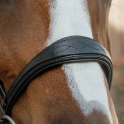 Accessoires De Bridons Poneys|Accessoires De Bridon*Dyon - Muserolle anatomique sans flash English Collection Noir