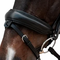 Muserolles*Dyon - Muserolle combinée Crank Matt Noir