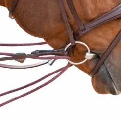 - Rênes allemandes en cuir et nylon 5/8 New English Collection brun Rênes Et Arrêtoirs De Rênes Poneys|Rênes Et Arrêtoirs De Rênes