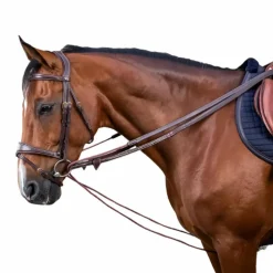 Rênes Et Arrêtoirs De Rênes Poneys|Rênes Et Arrêtoirs De Rênes*Dyon - Rênes allemandes nylon et cuir 5/8 D Collection brun Marron