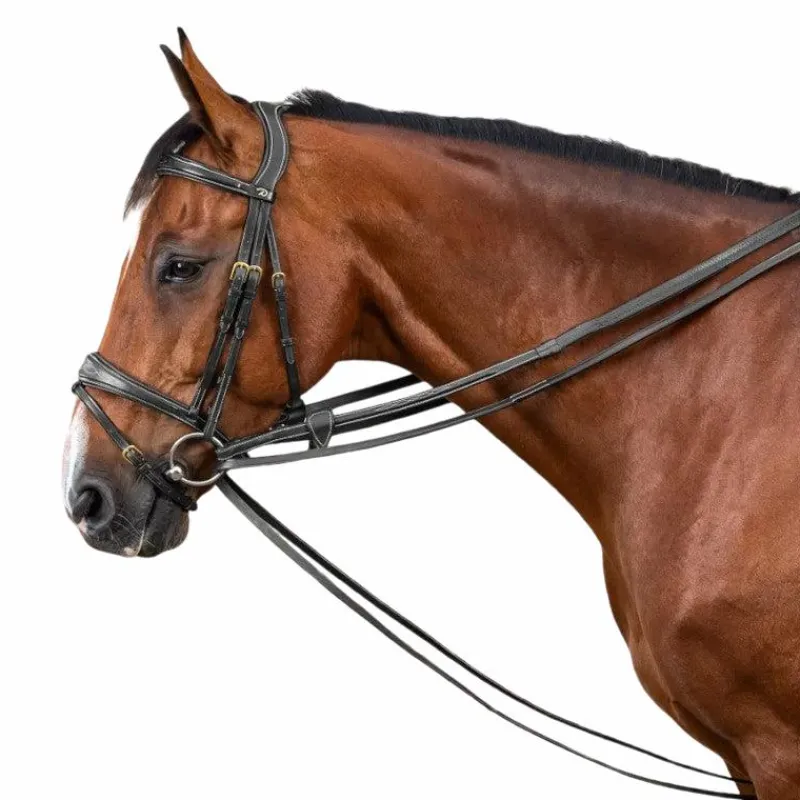Best - Rênes allemandes tout cuir 1/2 D Collection Rênes Et Arrêtoirs De Rênes Poneys|Rênes Et Arrêtoirs De Rênes