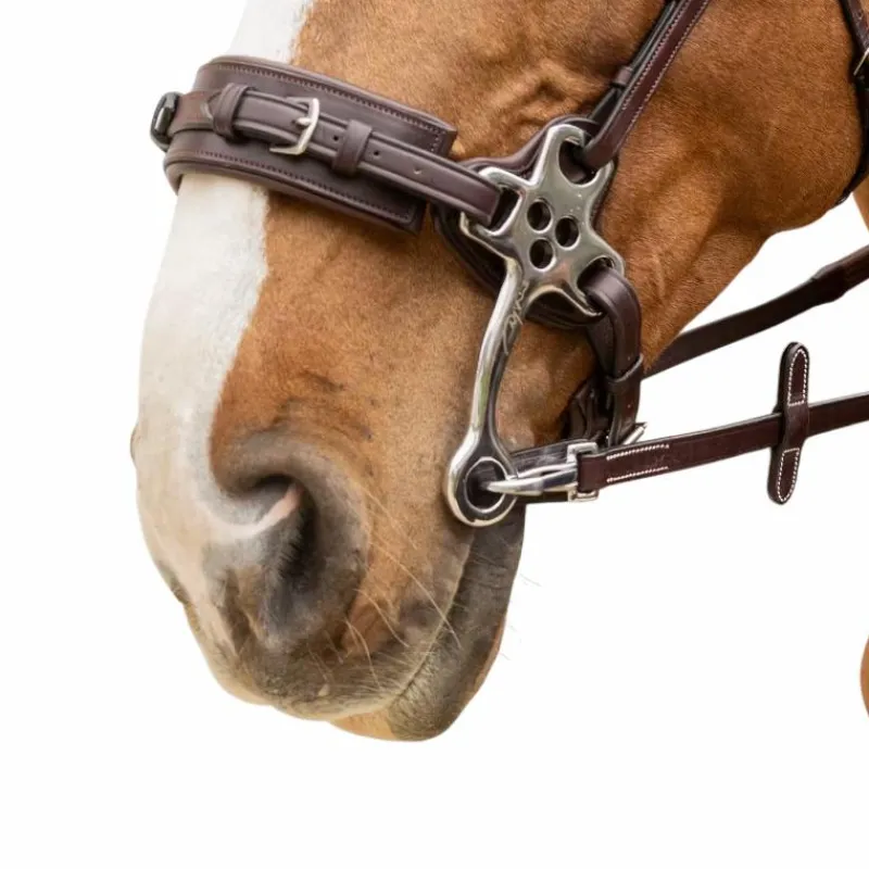 Online - Rênes caoutchouc 5/8 avec arrêtoirs et mousqueton Working brun Rênes Et Arrêtoirs De Rênes