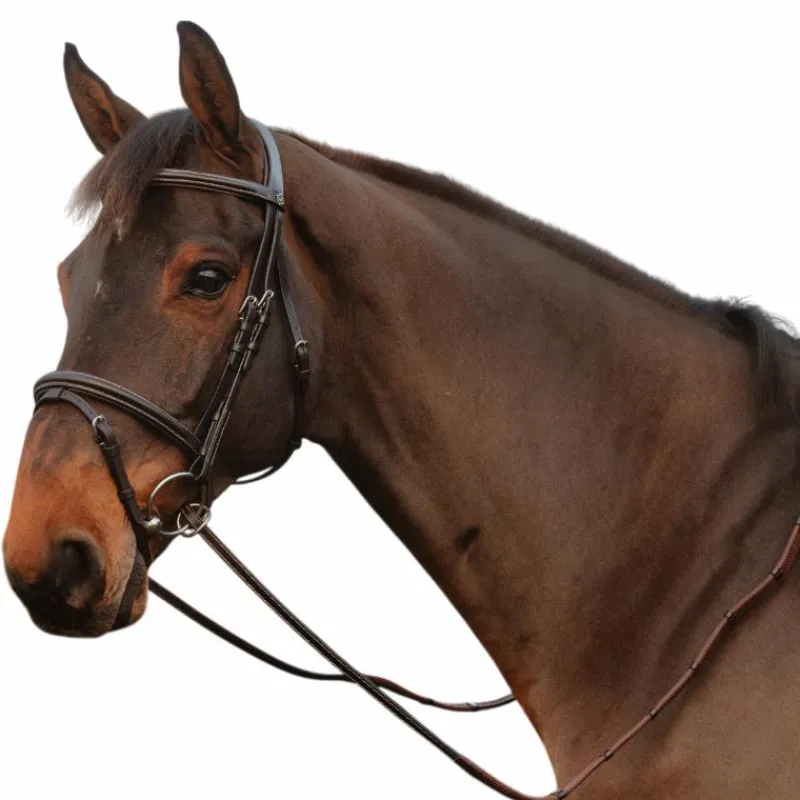 Best - Rênes caoutchouc 1/2 avec 7 arrêtoirs fermeture à anneaux Rênes Et Arrêtoirs De Rênes Poneys|Rênes Et Arrêtoirs De Rênes