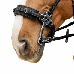 New - Rênes caoutchouc 5/8 avec arrêtoirs et mousqueton Working Rênes Et Arrêtoirs De Rênes