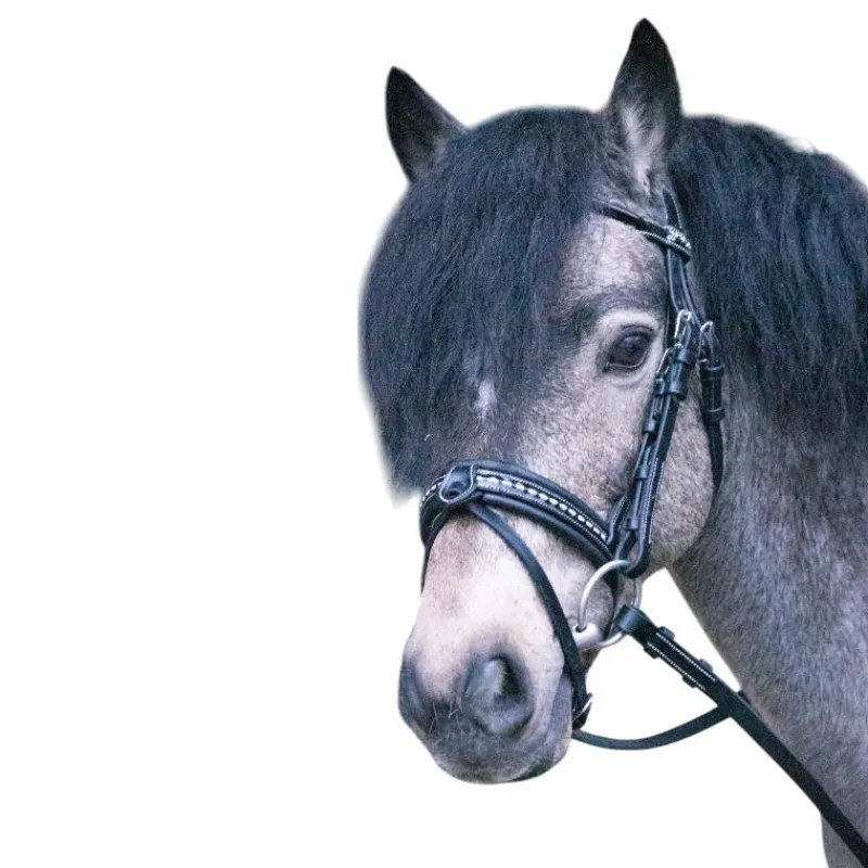 Bridons Poneys|Bridons*Eden by Pénélope - Bridon Eden avec rênes Noir