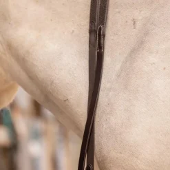 Rênes Et Arrêtoirs De Rênes Poneys|Rênes Et Arrêtoirs De Rênes*Eden by Pénélope - Rênes Eden havane Marron