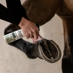 Outlet - Spray Entretien des fourchettes Fourchettes Pourries