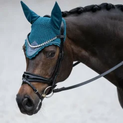 - Bonnet pour chevaux Teal Blue Bonnets Pour Chevaux