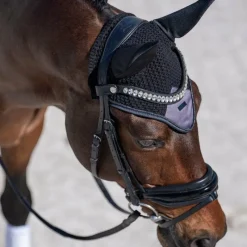 Outlet - Bonnet pour chevaux Modern Dark Bonnets Pour Chevaux