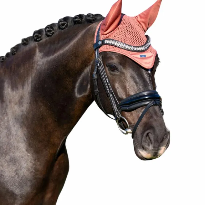 Bonnets Pour Chevaux*Equestrian Stockholm - Bonnet pour chevaux Modern Coral Orange