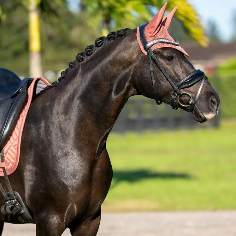 Bonnets Pour Chevaux*Equestrian Stockholm - Bonnet pour chevaux Modern Coral Orange