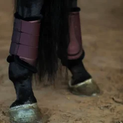 New - Guêtres fermées Endless Glow x2 Guêtres Fermées