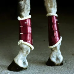 Best - Guêtres de dressage Bordeaux x2 Guêtres Fermées