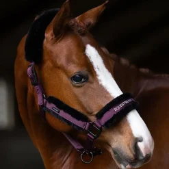 - Licol mouton et longe noir Black Raven Licols Poneys