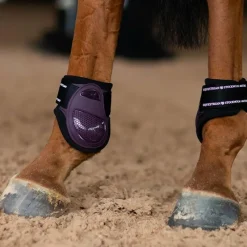 Protège-Boulets*Equestrian Stockholm - Protège-boulets Black Raven Prune