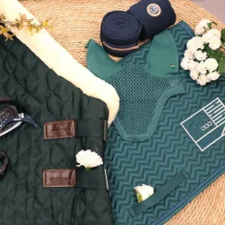 Dressage|Cso*Equiline - Bonnet Kim Vert