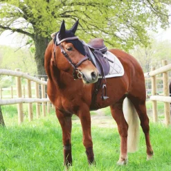 Dressage|Bonnets Pour Chevaux*Equiline - Bonnet long pour chevaux Noir