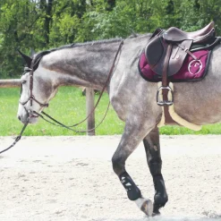 Dressage|Bonnets Pour Chevaux*Equiline - Bonnet long pour chevaux Noir