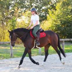 Online - Amortisseur teddy / Amortisseurs