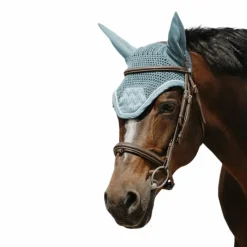 Bonnets Pour Chevaux*Equithème - Bonnet pour chevaux Brocart clair Bleu