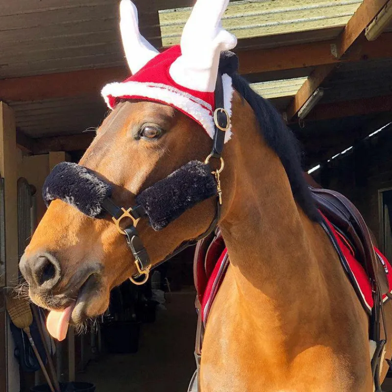 Cso|Bonnets Pour Chevaux*Equithème - Bonnet pour chevaux en forme bois de renne