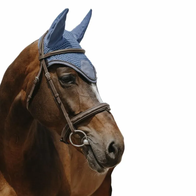 Bonnets Pour Chevaux*Equithème - Bonnet pour chevaux Chic Bleu
