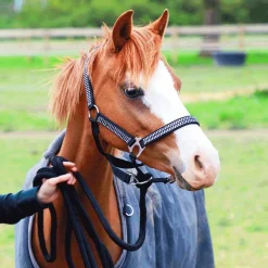 Couvertures Poneys*Equithème - Couverture d'extérieur Tyrex 600D /gris 0g Marine