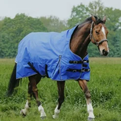 Couvertures Poneys|Couvertures Et Chemises*Equithème - Couverture d'extérieur Tyrex Aisance 1200D High Neck roi 0g Bleu