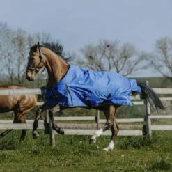 Outlet - Couverture d'extérieur Tyrex Aisance 1200D roi 50g Couvertures Poneys|Couvertures Et Chemises