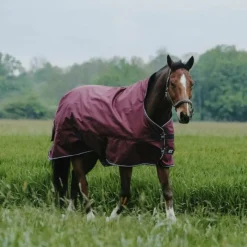 Clearance - Couverture d'extérieur Tyrex 1200D High Neck 0g Couvertures Poneys