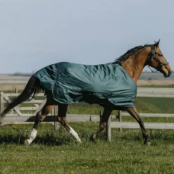 Couvertures Poneys|Couvertures Et Chemises*Equithème - Couure d'extérieur Tyrex 600D 300g Vert