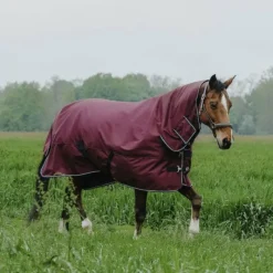 Couvertures Poneys|Couvertures Et Chemises*Equithème - Couverture d'extérieur Tyrex 1200D Combo 200g Bordeaux