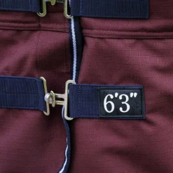 Couvertures Poneys|Couvertures Et Chemises*Equithème - Couverture d'extérieur Tyrex 1200D Combo 200g Bordeaux