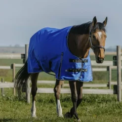 Couvertures Poneys|Couvertures Et Chemises*Equithème - Couverture d'extérieur Tyrex Aisance 1200D High Neck roi 150g Bleu