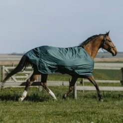 Online - Couure d'extérieur Tyrex 600D 50g Couvertures Poneys|Couvertures Et Chemises